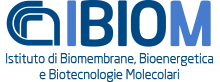 CNR - Istituto di Biomembrane, Bioenergetica e Biotecnologie Molecolari IBIOM